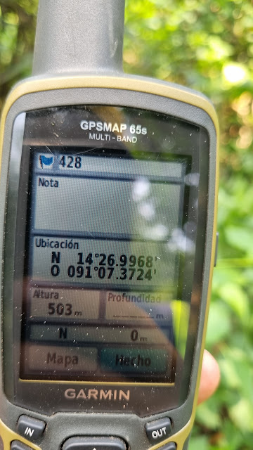 428g