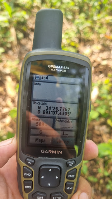 354g