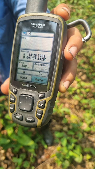 358g