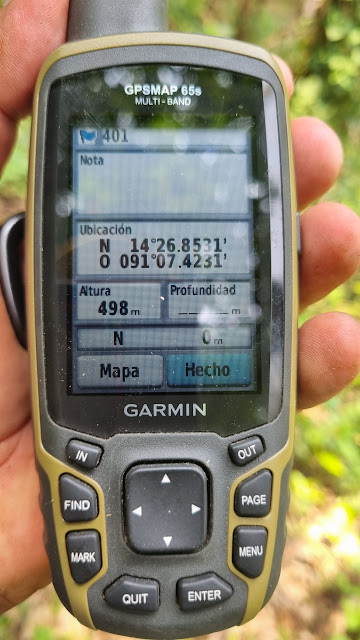 401g