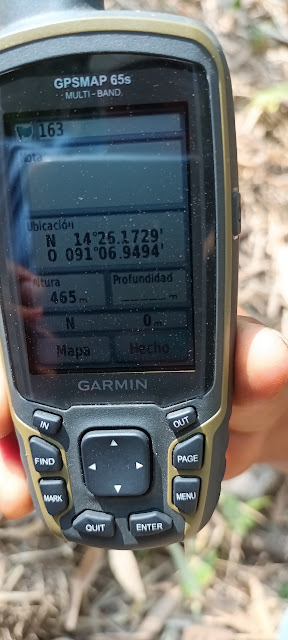 163g