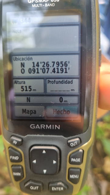 344g