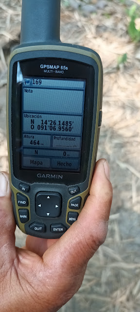 169g