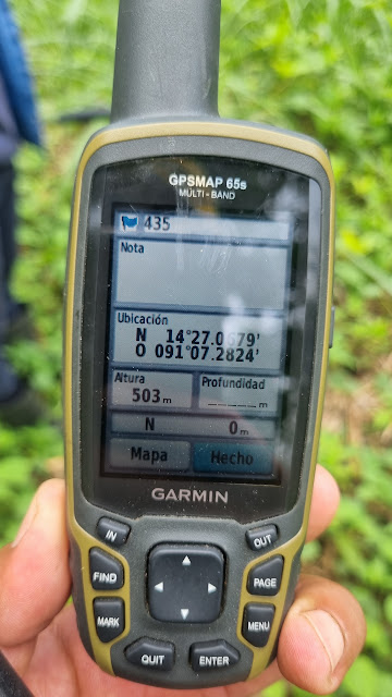 435g