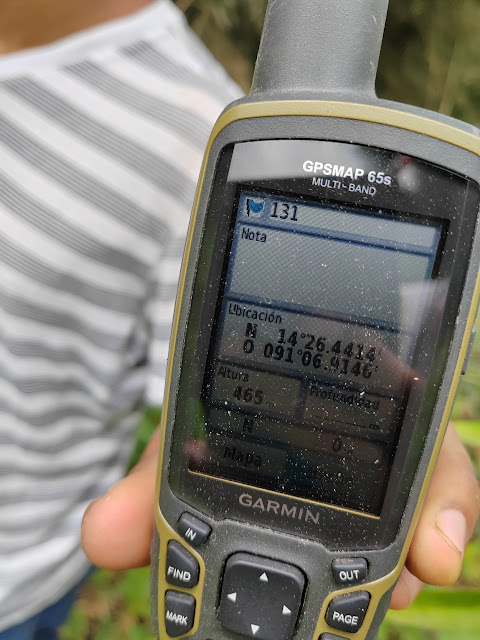 131g