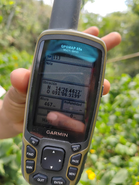 113g
