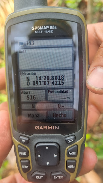 343g