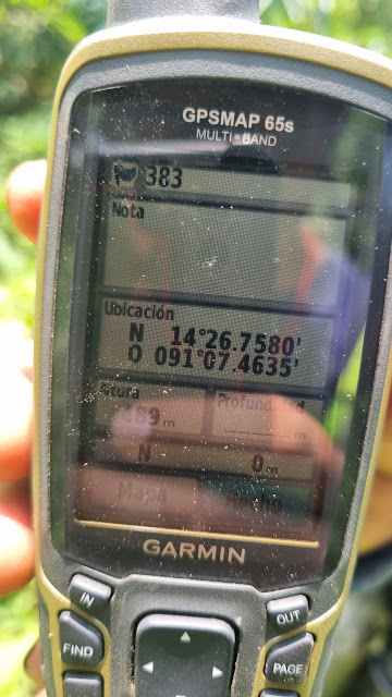 383g