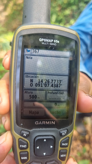 367g