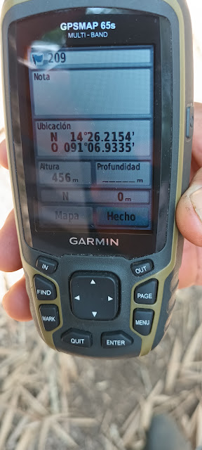 209g