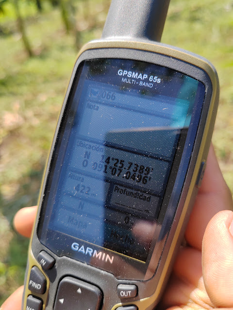 066g