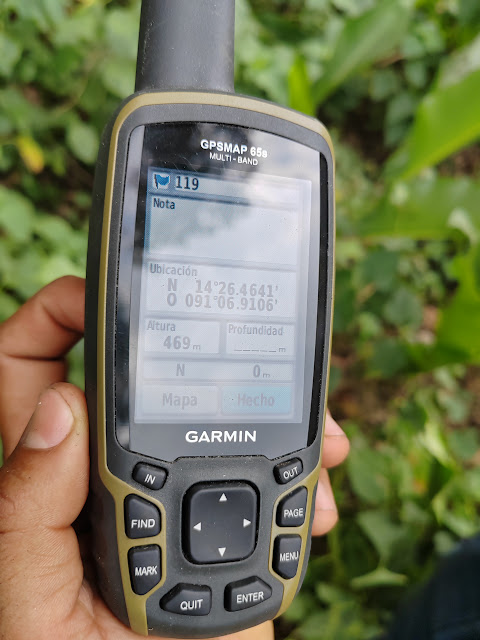 119g