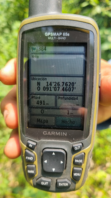 384g