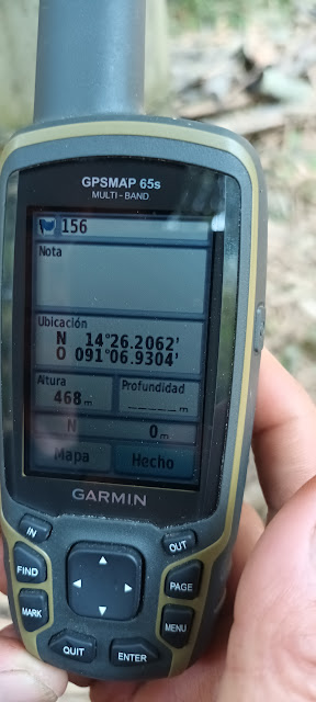 156g