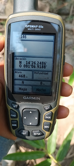 146g