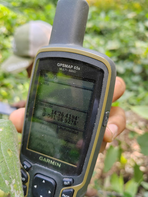 095g