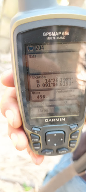 204g