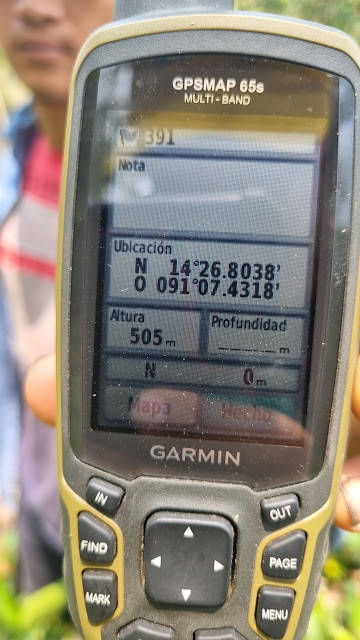 391g