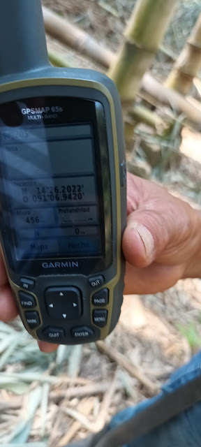 205g