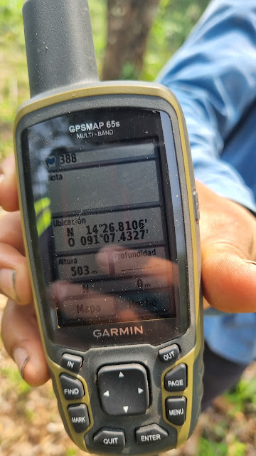 388g