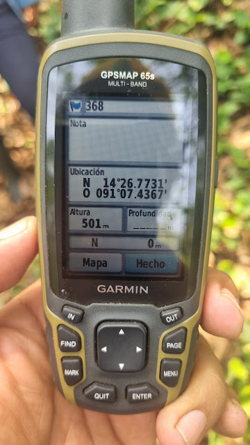 368g