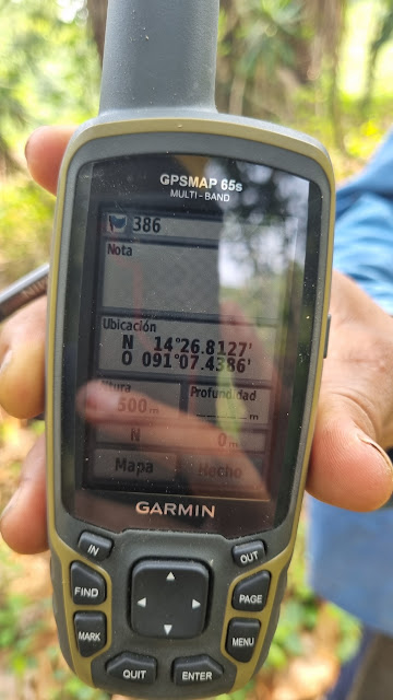 386g