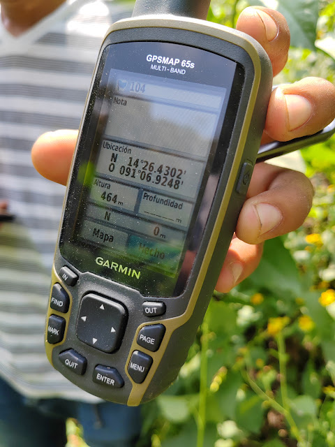 104g