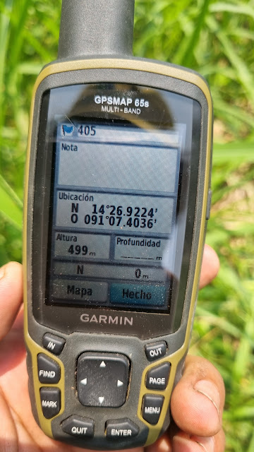 405g