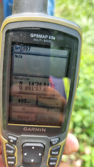 397g