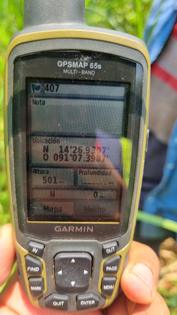 407g
