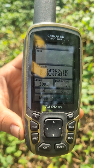359g