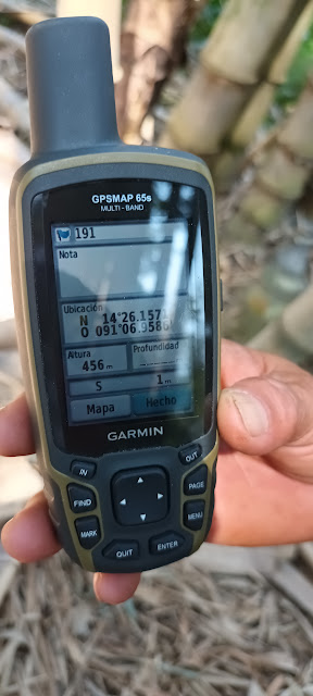 191g