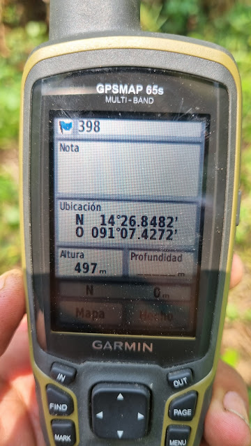 398g