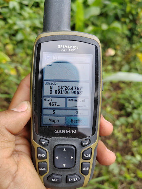 117g