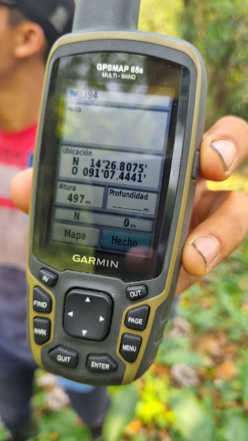 394g