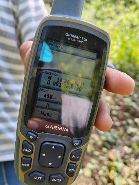 070g