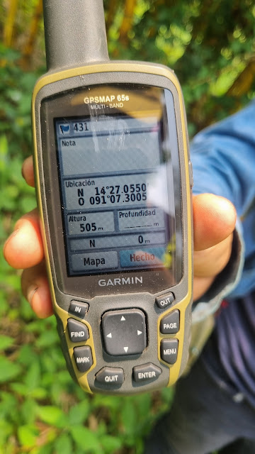 431g