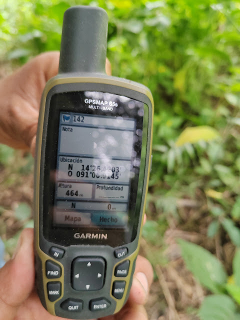 142g