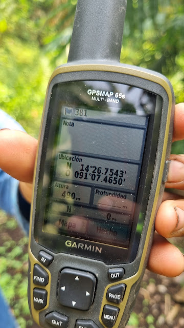 381g