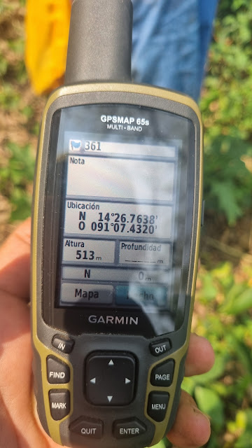 361g