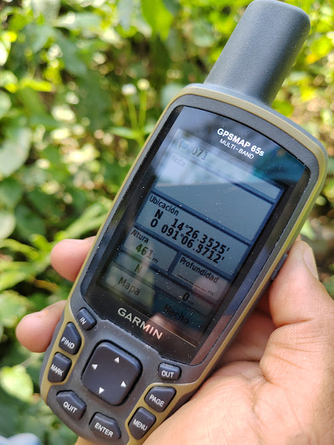 071g