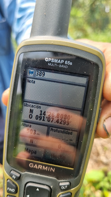 389g