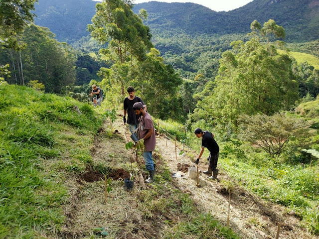 projeto maara3