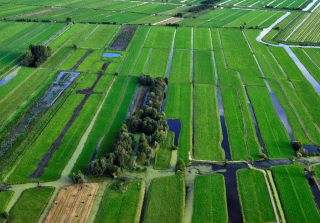foto 2 oncra website veenmakers