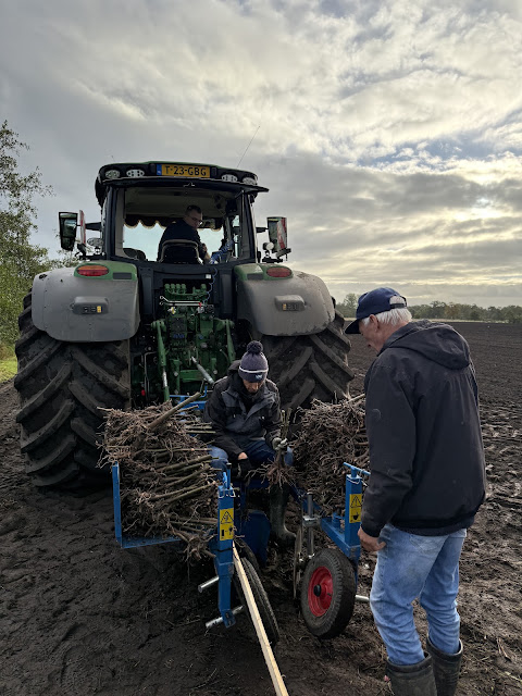 Foto bewerking land