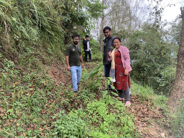 Agroforestry model farm