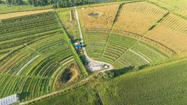 WL Voedselbos Lingehout Drone4