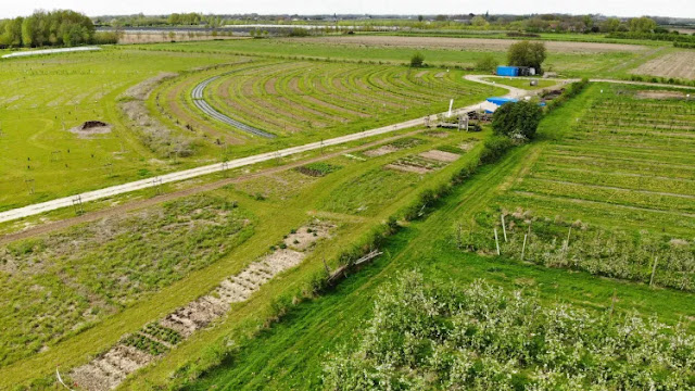 DJI 0414-edited